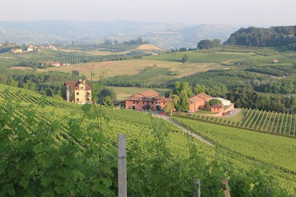 Tenuta Carretta vineyard & villa