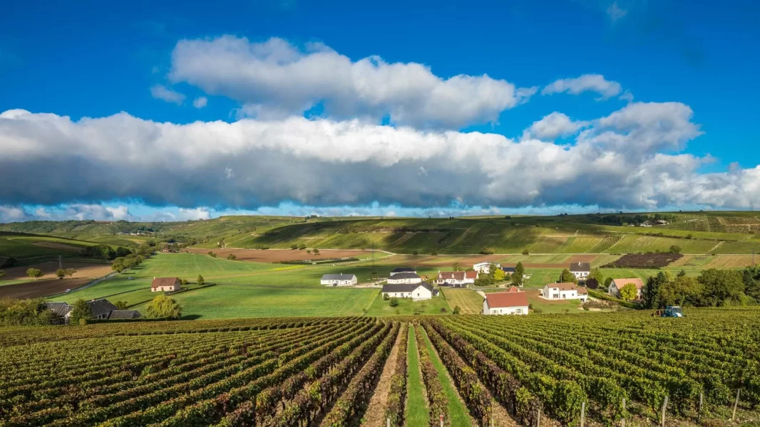 Bonnet-Vineyards-in-the-Loire-Valley