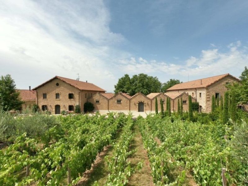 CosmePalaciovineyards