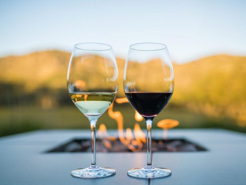 Forestville glasses