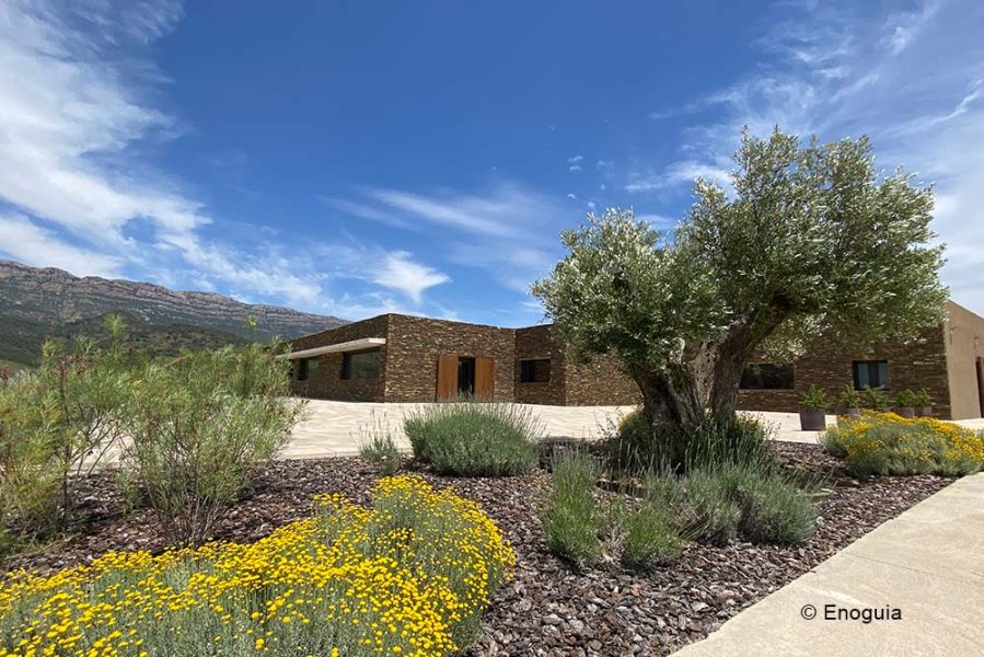 Mas Doix winery