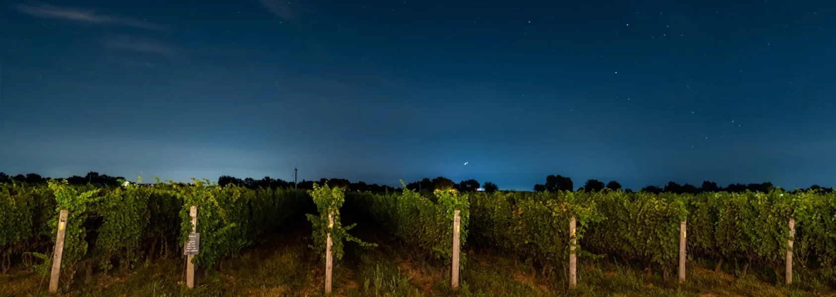 Stratus at night