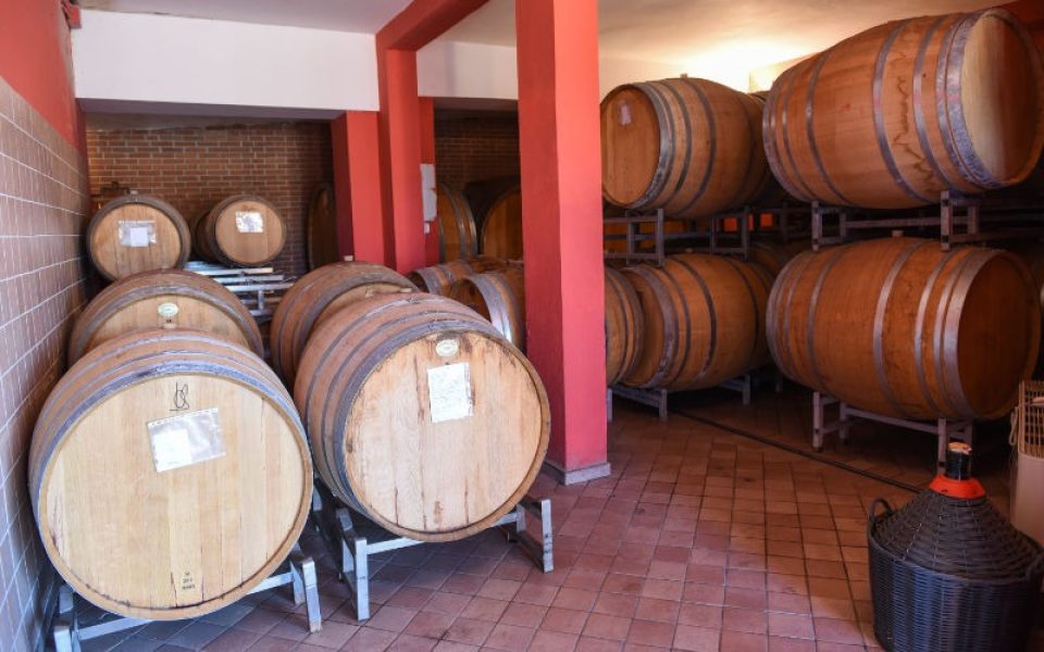 cantina_stroppiana_barrels