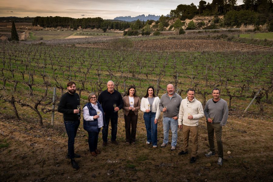 celler_mir_tornébel_horitzontal