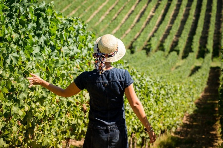 domaine-haut-marin-catherine__54665.original