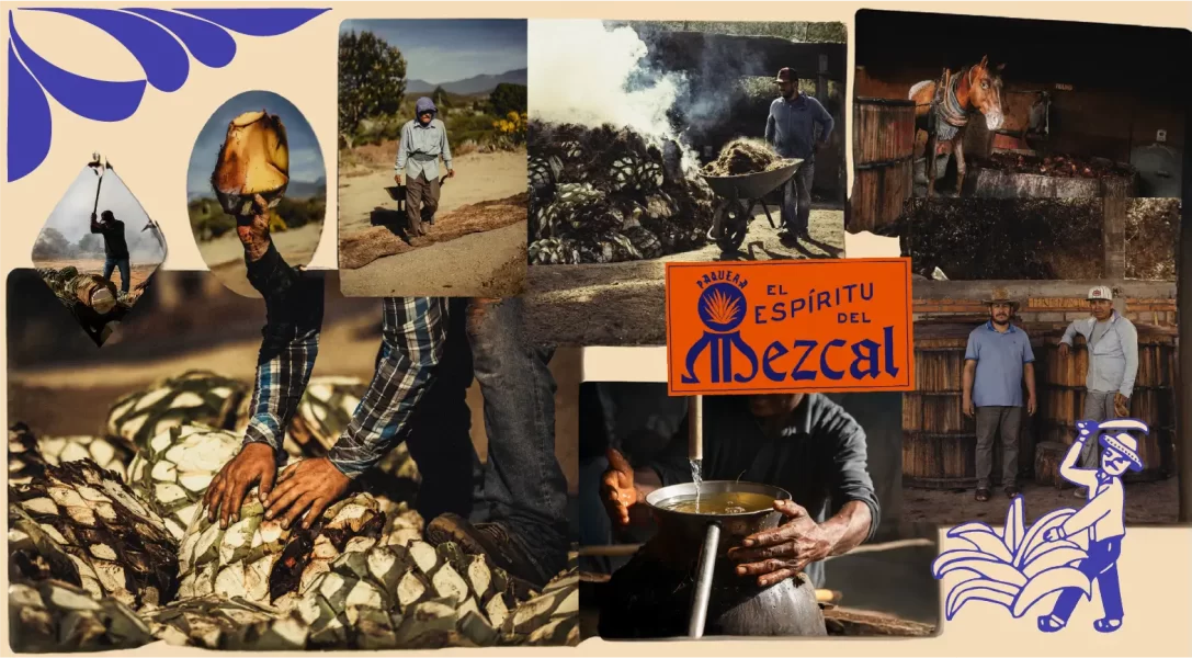paquera-mezcal-coop-collage-desktop